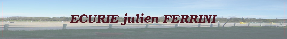 ECURIE julien FERRINI